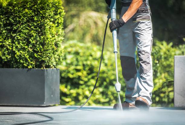 Best Fence Cleaning  in Horseshoe Bend, AR