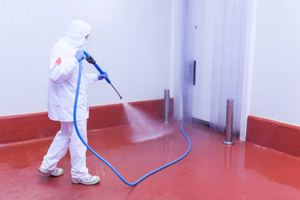Best Restaurant Pressure Washing  in Horseshoe Bend, AR