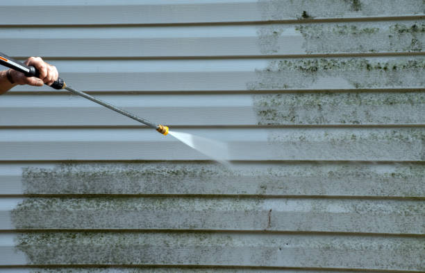 Best Driveway Pressure Washing  in Horseshoe Bend, AR